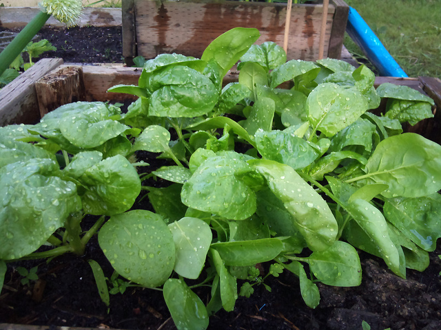 Tăng sức đề kháng cho trẻ