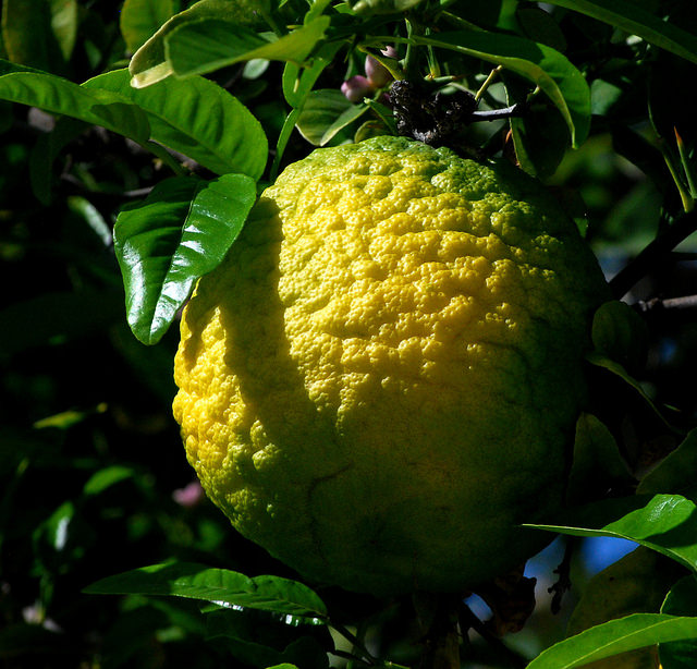 Tăng sức đề kháng cho trẻ